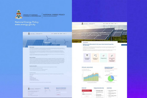 National Energy Policy