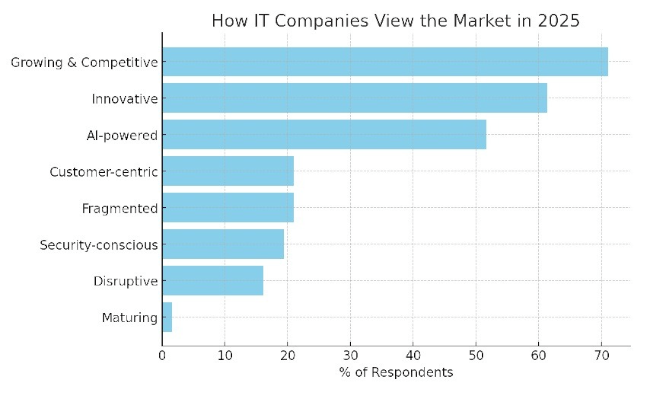 How IT Companies View The Market in 2025